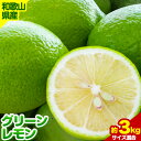 【ふるさと納税】【産直】 和歌山産 グリーン レモン 約 3kg 厳選館 (サイズ混合) 《2025年10月下旬-11月中旬頃出荷》和歌山県 日高川町 レモン 柑橘(4)