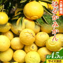 【ふるさと納税】【先行予約】【さわやか柑橘】ご家庭用 和歌山県産 はるかみかん 約4.5kg (サイズ混合)日高川町厳選館《2026年2月中旬〜4月中旬頃より出...