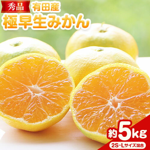 【ふるさと納税】先行予約【秀品】有田産極 早生 みかん 約5kg (2S〜Lサイズ混合) 厳選館《2025年10月上旬-12月中旬頃出荷》和歌山県 日高川町 早生みかん みかん 完熟 柑橘 蜜柑 ミカン フルーツ 果物