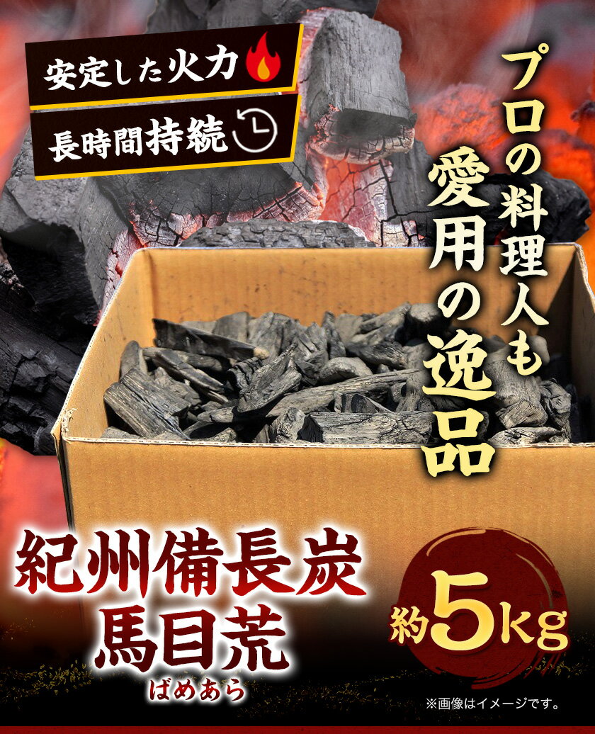 【ふるさと納税】紀州備長炭 馬目荒 約5kg 株式会社紀 《30日以内に出荷予定(土日祝除く)》 和歌山県 日高川町 備長炭 炭 プロの 料理人 愛用 BBQ 焼肉 炭火焼き キャンプ レジャー 囲炉裏 国産 備長炭 川遊び ロッジ 行楽 安全 安心 火起こし 大活躍
