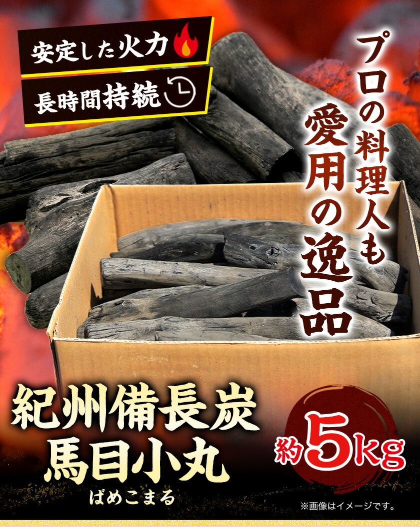 【ふるさと納税】紀州備長炭 馬目小丸 約5kg 株式会社紀 《30日以内に出荷予定(土日祝除く)》 和歌山県 日高川町 備長炭 炭 プロの 料理人 愛用 送料無料 BBQ 焼肉 炭火焼き キャンプ レジャー 囲炉裏 国産 備長炭 川遊び ロッジ 行楽 安全 安心 火起こし 大活躍