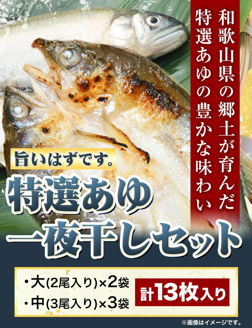 【ふるさと納税】「旨いはずです。」特選 あゆ 一夜干し セット (13枚入)　日高川漁業協同組合《90日以内に出荷(土日祝除く)》 和歌山県 日高川町 あゆ 鮎 魚 一夜干し