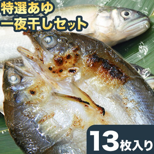 「旨いはずです。」特選 あゆ 一夜干し セット (13枚入) 日高川漁業協同組合[90日以内に出荷(土日祝除く)] 和歌山県 日高川町 あゆ 鮎 魚 一夜干し