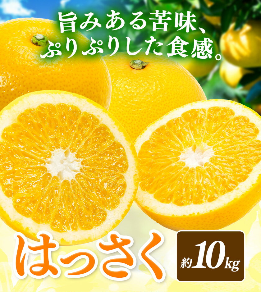 【先行予約】【ふるさと納税】八朔 はっさく 約10kg マルツネ農園《2026年1月中旬-3月下旬頃出荷》 和歌山県 日高川町 旬 果物 フルーツ 柑橘 産地直送 送料無料