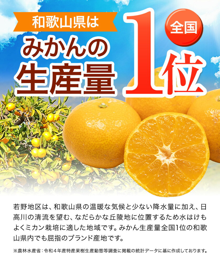 【先行予約】【ふるさと納税】八朔 はっさく 約10kg マルツネ農園《2026年1月中旬-3月下旬頃出荷》 和歌山県 日高川町 旬 果物 フルーツ 柑橘 産地直送 送料無料