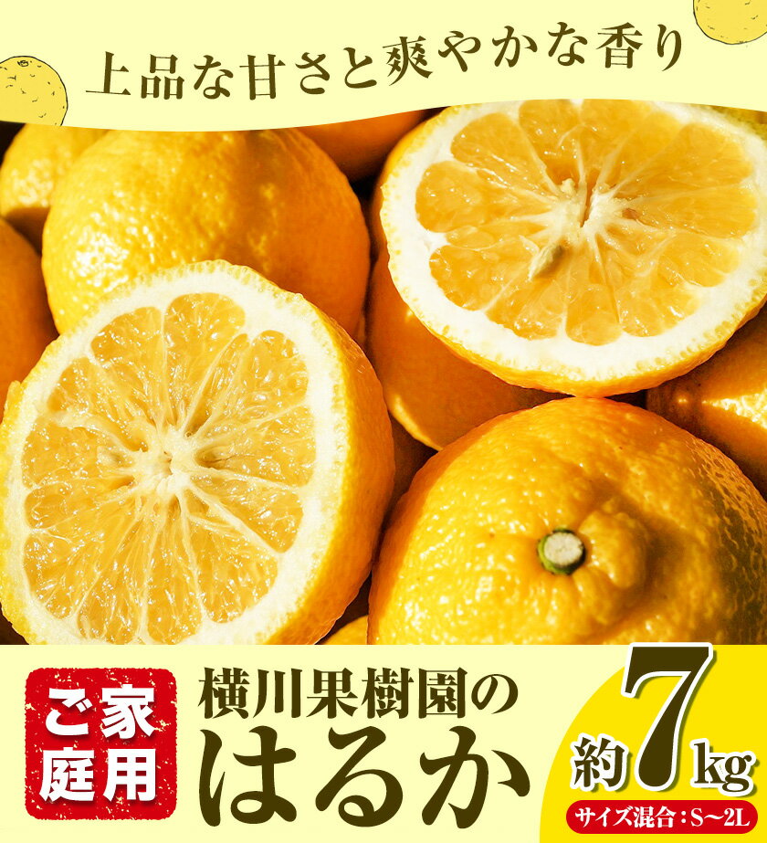 【ふるさと納税】【先行予約】はるか 約7kg S〜2L 家庭用 サイズ混合 横川果樹園 《2026年2月上旬-3月中旬頃より出荷》 和歌山県 日高川町 はるか みかん 果物 柑橘 フルーツ 送料無料