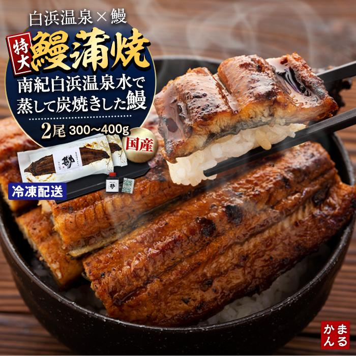 25位! 口コミ数「0件」評価「0」うなぎ 鰻 ウナギ うなぎ蒲焼 鰻蒲焼 国産 特大 2本 2尾 和歌山県 白浜町 白浜温泉 タレ 山椒 付き 合計300～400g和歌山県 ･･･ 