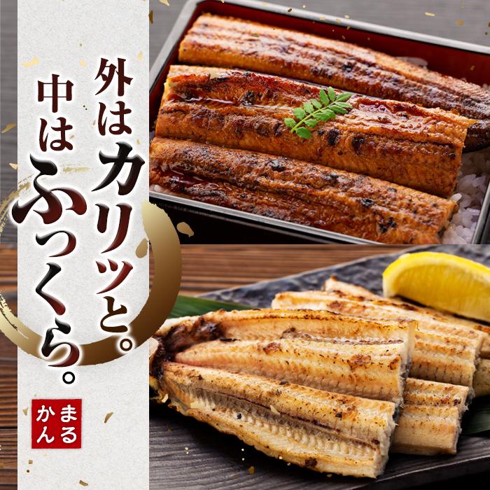 【ふるさと納税】うなぎ 鰻 ウナギ うなぎ蒲焼 鰻蒲焼 うなぎ白焼 白焼き 国産 特大 各1尾 合計2尾 合計300～400g和歌山県 白浜町 白浜温泉 備長炭 真空パック CAS冷凍 丑の日 ギフト 国内産 食べ物 グルメ お中元 お歳暮 誕生日 お取り寄せ 食品 食物 贈答 冷凍食品