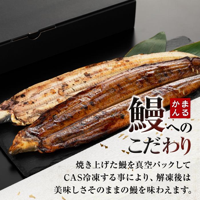 【ふるさと納税】うなぎ 鰻 ウナギ うなぎ蒲焼 鰻蒲焼 うなぎ白焼 白焼き 国産 特大 各1尾 合計2尾 合計300～400g和歌山県 白浜町 白浜温泉 備長炭 真空パック CAS冷凍 丑の日 ギフト 国内産 食べ物 グルメ お中元 お歳暮 誕生日 お取り寄せ 食品 食物 贈答 冷凍食品