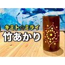 【ふるさと納税】プレミア和歌山認定 banboo light 竹あかり 竹灯籠 天然竹 天然竹 竹製 灯籠 手作り キャンドル インテリア おしゃれ 室内 照明...