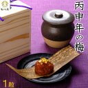 【ふるさと納税】丙申年の梅 1粒 1箱(みなべ町) | 楽天ふるさと 和歌山県 和歌山 白浜町 梅干し 梅干 梅 うめ ご飯のお供 ごはんのおとも ごはんのお供...