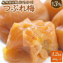 【ふるさと納税】訳あり はちみつ 梅干し 紀州南高梅 塩分 3％ 1.2kg ( 400g × 3 ) | つぶれ梅 はちみつ梅 梅干 訳アリ 塩分3 1.2キロ はちみつ ハチミツ わけあり 梅 うめ セット 取り寄せ お取り寄せ ご当地グルメ 漬け物 和歌山県 白浜町 和歌山 楽天ふるさと 納税