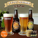 5位! 口コミ数「0件」評価「0」【定期便 全12回】ナギサビール330mlを毎月お届け（季節限定商品を含む3種類）発送本数選べます！ | クラフトビール 地ビール アメリカ･･･ 