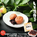 【ふるさと納税】しそ漬け梅 1kg(ポリ容器入り) | 楽天ふるさと 納税 和歌山県 和歌山 白浜町 梅干し 梅干 梅 うめ ご飯のお供 ごはんのおとも ごはん...