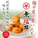 【ふるさと納税】紀州南高梅 食塩不使用 無塩梅 180g 梅干し 梅干 バニリン 減塩 無添加 塩分 | 梅干 食品 加工食品 人気 おすすめ 送料無料