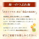 和歌山県白浜町の画像2