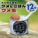 【ふるさと納税】どんなときも梅とご飯 ウメ缶 12缶セット 非常食 保存食 備蓄 非常食セット 防災グッズ 防災 アウトドア キャンプ 缶詰 紀州南高梅 梅干し アルファ米 ご飯 和歌山県 白浜町 …