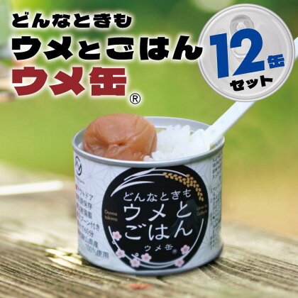 どんなときも梅とご飯 ウメ缶 12缶セット 非常食 保存食 備蓄 非常食セット 防災グッズ 防災 アウトドア キャンプ 缶詰 紀州南高梅 梅干し アルファ米 ご飯 和歌山県 白浜町 ふるさと納税 5年保存 | 食品 加工食品 人気 おすすめ 送料無料