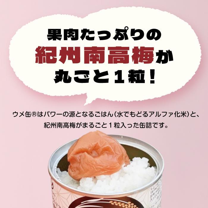 【ふるさと納税】どんなときも梅とご飯 ウメ缶 12缶セット 非常食 保存食 備蓄 非常食セット 防災グッズ 防災 アウトドア キャンプ 缶詰 紀州南高梅 梅干し アルファ米 ご飯 和歌山県 白浜町 ふるさと納税 5年保存 | 食品 加工食品 人気 おすすめ 送料無料