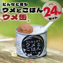 6位! 口コミ数「0件」評価「0」どんなときも梅とご飯 ウメ缶 24缶セット 非常食 保存食 備蓄 非常食セット 防災グッズ 防災 アウトドア キャンプ 缶詰 紀州南高梅 梅･･･ 