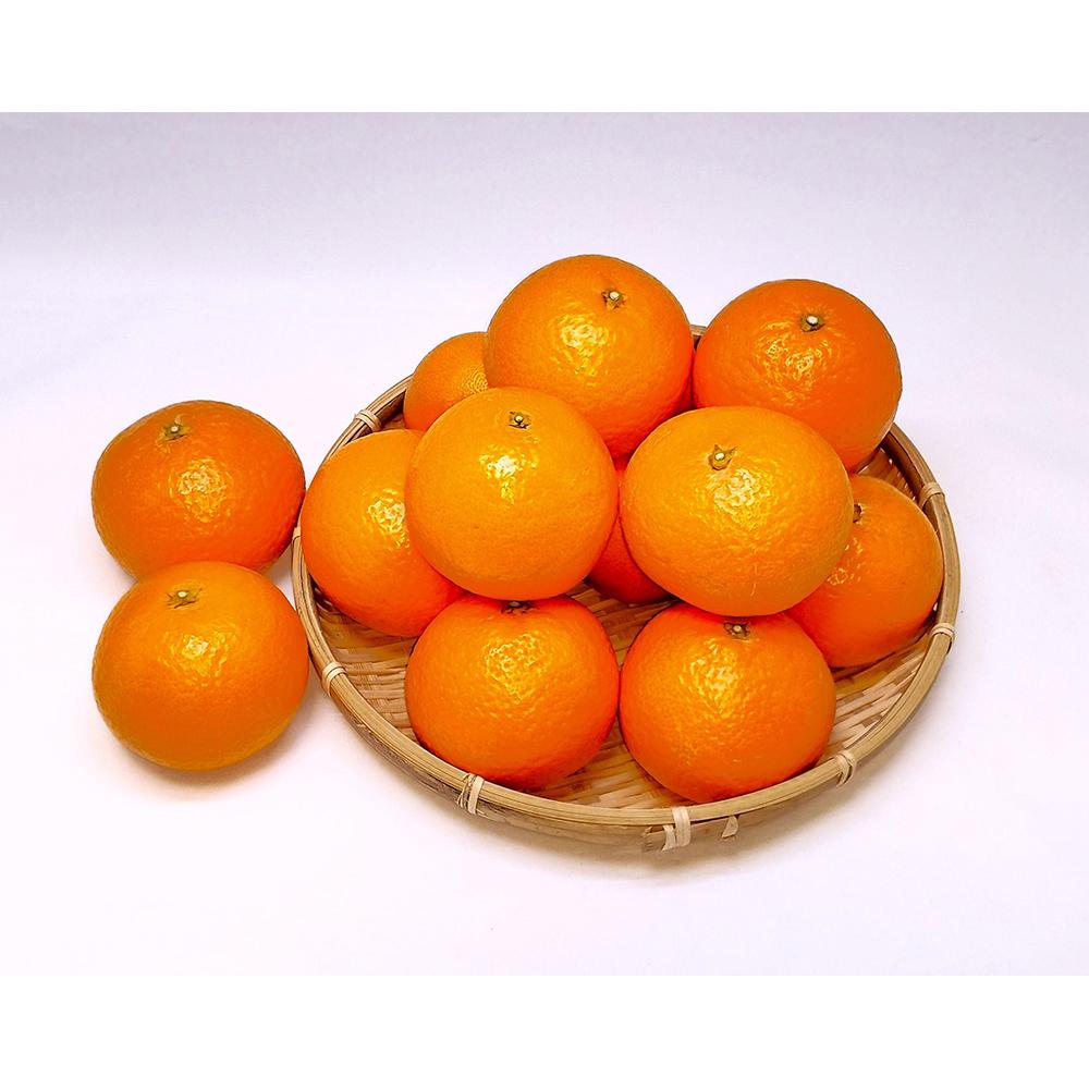 【ふるさと納税】清見オレンジ 3kg（2Lサイズ） | フルーツ 果物 くだもの 食品 人気 おすすめ 送料無料