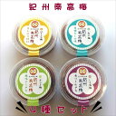 【ふるさと納税】紀州南高梅 詰め合わせ4種セット | 梅干 食品 加工食品 人気 おすすめ 送料無料