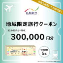 【ふるさと納税】和歌山県白浜町 日本旅行 地域限定旅行クーポン300,000円分