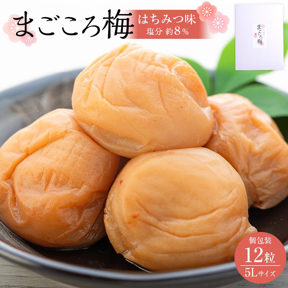 【ふるさと納税】まごころ梅 はちみつ味 5Lサイズ 380g 個包装 | 梅干 食品 加工食品 人気 おすすめ 送料無料