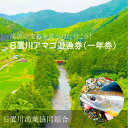 【ふるさと納税】2025年度 日置川アマゴ遊漁券(一年券) | 魚 フィッシング 川釣り チケット 人気 おすすめ