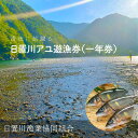 【ふるさと納税】2025年度 日置川アユ遊漁券(一年券) | 魚 フィッシング 川釣り チケット 人気 おすすめ