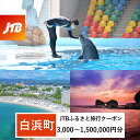 【ふるさと納税】【白浜町、那智勝浦町、上富田町】JTBふるさと旅行クーポン(Eメール発行)(3,000円分~1,500,000円分) | 和歌山県 白浜町 和歌山 楽天ふるさと 納税 支援品 支援 返礼品 返礼 お礼の品 クーポン 旅行クーポン トラベルクーポン
