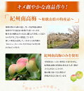 和歌山県白浜町の画像3