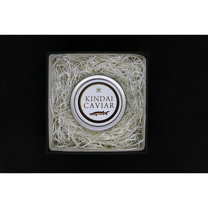 【ふるさと納税】近大 キャビア10g 1個 | 国産 養殖 高級 ギフト パーティ ディナー 食事 カナッペ クラッカー シャンパン お取り寄せ グルメ 食品 記念日 誕生日 和歌山県 白浜町