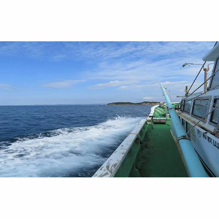 【ふるさと納税】現役漁師と行く！海からの南紀白浜の景勝地を一望できるポイントでの釣り体験