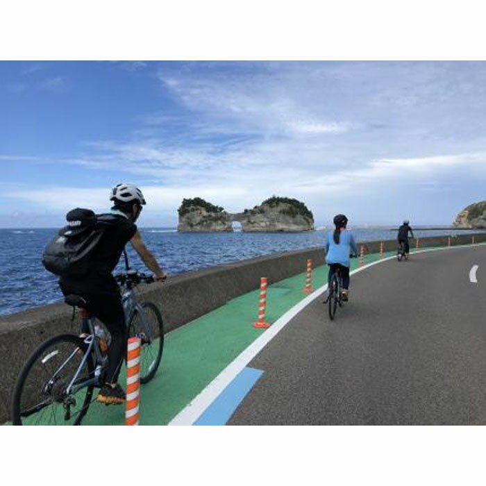 【ふるさと納税】南紀熊野ジオパークガイドと巡る！白浜周遊サイクリング（アルミロード）