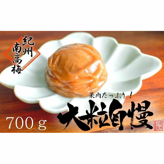 16位! 口コミ数「2件」評価「5」はちみつ梅　超大粒　大粒自慢（700g）紀州南高梅【梅農家手づくり梅干】 | 楽天ふるさと 納税 和歌山県 和歌山 白浜町 梅干し 梅干 梅･･･ 