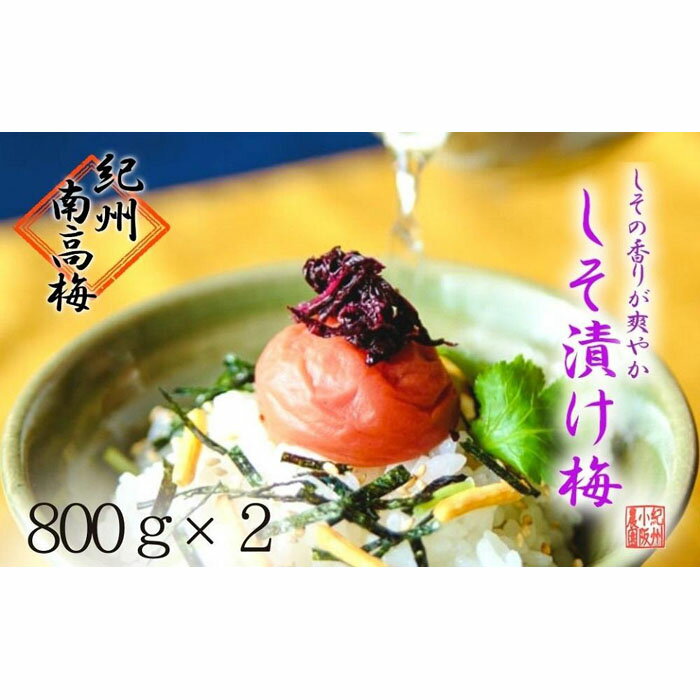 【ふるさと納税】しそ漬け梅　特選　(800g×2パック）紀州南高梅【梅農家手づくり梅干】 | 和歌山県 和歌山 白浜町 梅干し 梅干 梅 うめ 紀州梅干し 紀州梅 南高梅 ご飯のお供 ごはんのおとも ごはんのお供 ご飯のおとも お取り寄せ ウメ 漬け物 漬物 紀州