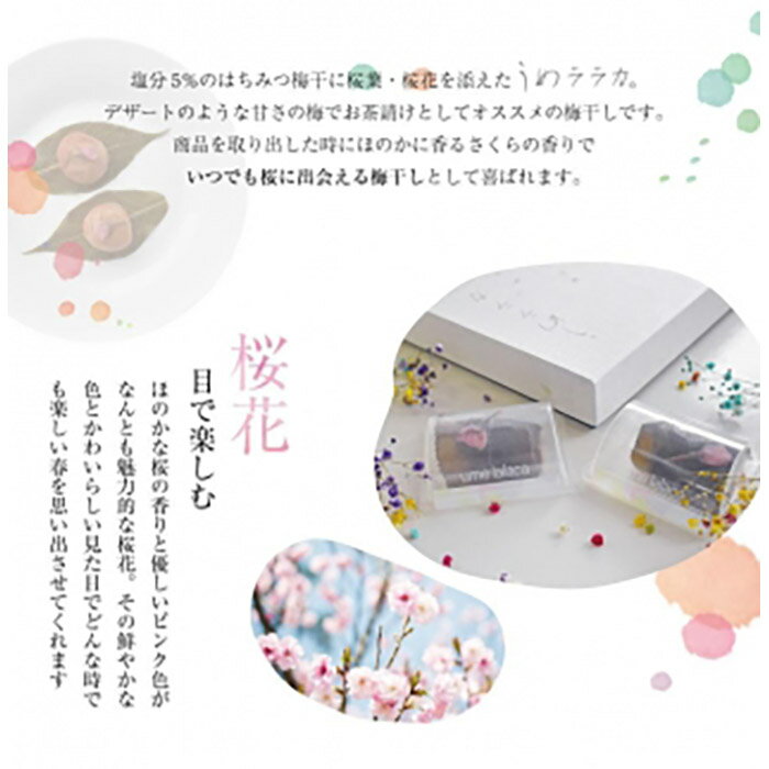 【ふるさと納税】紀州南高梅　うめララカ　桜葉と桜花を添えて | 楽天ふるさと 納税 和歌山県 和歌山 白浜町 梅干し 梅干 梅 うめ 紀州梅干し 紀州梅 南高梅 ご飯のお供 ごはんのおとも ごはんのお供 ご飯のおとも お取り寄せ お土産 プレゼント 漬け物 漬物 紀州 はちみつ梅