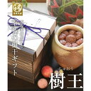 【ふるさと納税】紀州南高梅 「樹王」 まろやか梅1.3kg 信楽焼の陶器壺入り | 梅干し 梅干 梅 うめ 紀州梅干し 紀州梅 南高梅 ご飯のお供 ごはんのおと...
