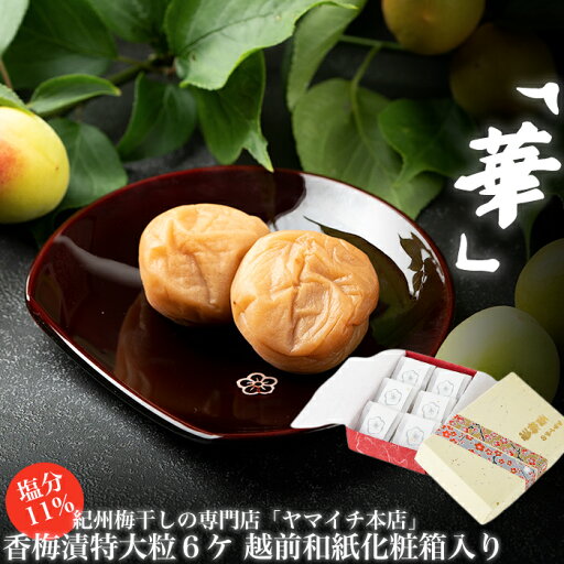 【ふるさと納税】「華」香梅漬6粒、越前和紙化粧箱入り | 楽天ふるさと 納税 和歌山県 和歌山 白浜町 梅干し 梅干 梅 うめ ご飯のお供 ごはんのおとも ごはんのお供 ご飯のおとも お取り寄せ お土産 ギフト プレゼント 漬け物 おつまみ ウメ 酒の肴 漬物 紀州 酒のつまみ 【ふるさと納税】「華」香梅漬6粒、越前和紙化粧箱入り | 楽天ふるさと 納税 和歌山県 和歌山 白浜町 梅干し 梅干 梅 うめ ご飯のお供 ごはんのおとも ごはんのお供 ご飯のおとも お取り寄せ お土産 ギフト プレゼント 漬け物 おつまみ ウメ 酒の肴 漬物 紀州 酒のつまみ