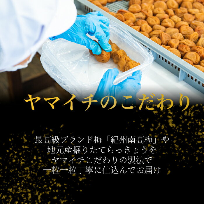 【ふるさと納税】「梅ファミリー」　香梅漬・かつお梅・はちみつ漬けの詰合せ | 楽天ふるさと 納税 和歌山県 和歌山 白浜町 梅干し 梅干 梅 うめ はちみつ 蜂蜜梅干し ご飯のお供 ごはんのおとも ごはんのお供 ご飯のおとも お取り寄せ お土産 かつお梅干し 漬け物 漬物 紀州