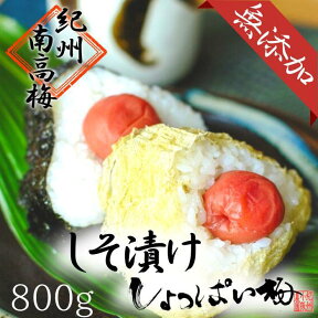 【ふるさと納税】無添加　しそ梅　しょっぱい（小粒800g）紀州南高梅【梅農家手づくり梅干】 | 和歌山県 白浜町 和歌山 取り寄せ お取り寄せ グルメ お取り寄せグルメ ご当地グルメ 梅 うめ ウメ 梅干 梅干し 漬け物 漬物 紀州