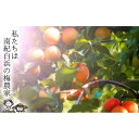 和歌山県白浜町の画像3