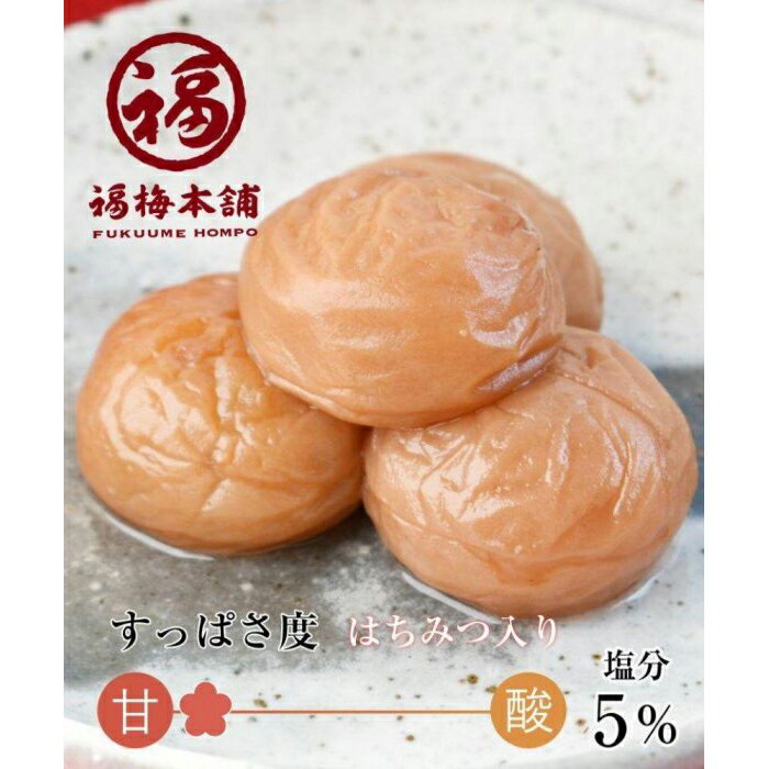 【ふるさと納税】ご家庭用 はちみつ梅干し あまみつ梅 250g 減塩 最高級紀州南高梅 和歌山県産 福梅本舗 | 和歌山県 白浜町 和歌山 取り寄せ お取り寄せ お取り寄せグルメ ご当地 梅 うめ ウメ はちみつ ハチミツ 蜂蜜 紀州梅 紀州 梅干し はちみつ梅干し 梅干 ご飯のお供