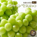 ・ふるさと納税よくある質問はこちら ・寄付申込みのキャンセル、返礼品の変更・返品はできません。あらかじめご了承ください。 ・ご要望を備考に記載頂いてもこちらでは対応いたしかねますので、何卒ご了承くださいませ。 ・寄付回数の制限は設けておりません。寄付をいただく度にお届けいたします。 商品概要 和歌山県の葡萄の産地から鮮度抜群の美味しいシャインマスカットを化粧箱に入れてお届け致します。 シャインマスカットは、親が「安芸津21号」と「白南」で、2006年(平成18年)に品種登録された白葡萄です。 近年では、「マスカットの女王」と親しまれ、日本で特に人気のある「マスカット・オブ・アレキサンドリア」のDNAを受け継いだマスカット系の品種です。 マスカットの香りと糖度は高く酸味は控えめ。 歯応えはしっかり・ジューシーなのが特徴で、皮ごと食べられます。マスカット特有の上品な味わいと香りを丸ごと味わえる人気の白葡萄です。 【注意事項】 ※事前の配送日指定は承っておりません。予めご了承ください。 ※サイズ、入り数はご指定いただけません。 ※離島地域への配送はできません。 こちらは和歌山県かつらぎ町との共通返礼品になります。 平成31年総務省告示第179号第5条第8号イ「市区町村が近隣の他の市区町村と共同で前各号いずれかに該当するものを共通の返礼品等とするもの」に該当する返礼品として、和歌山県内で合意した市町村間で出品しているものです。 事業者名：株式会社松源（073-461-0100） 関連キーワード：フルーツ 果物 くだもの 食品 人気 おすすめ 送料無料 内容量・サイズ等 約1.5kg(2房入り・秀品)/和歌山県産 賞味期限 生鮮品の為、なるべくお早めにお召し上がりください。 配送方法 冷蔵 発送期日 2024/8月中旬〜9/上旬 アレルギー 特定原材料等28品目は使用していません ※ 表示内容に関しては各事業者の指定に基づき掲載しており、一切の内容を保証するものではございません。 ※ ご不明の点がございましたら事業者まで直接お問い合わせ下さい。 名称 シャインマスカット 産地名 国産（和歌山県産） 保存方法 要冷蔵（10℃以下で保存） その他 生鮮品の為、なるべくお早めにお召し上がりください。 事業者情報 事業者名 株式会社松源 連絡先 073-461-0100 営業時間 10:00〜17:00 定休日 土曜日・日曜日・祝祭日・年始3日間(1/1〜1/3) 関連商品【ふるさと納税】◆先行予約◆和歌山県産 ピオーネ 4房入り〈秀品〉【2...【ふるさと納税】◆先行予約◆和歌山県かつらぎ町産 ピオーネ＆シャインマ...【ふるさと納税】◆先行予約◆和歌山県産 ピオーネ 2房入り〈秀品〉【2...20,000円20,000円12,000円【ふるさと納税】◆先行予約◆和歌山県産 シャインマスカット 4房入り〈...【ふるさと納税】シャインマスカット 1房（600g以上）【2024年8...【ふるさと納税】【新鮮・産直】和歌山かつらぎ町産たねなしピオーネ約2k...35,000円12,000円17,000円【ふるさと納税】大房シャインマスカット2房入り（1房650g×2房）和...【ふるさと納税】[新鮮・産直]和歌山県産完熟シャインマスカット約1.2...【ふるさと納税】巨峰ぶどう約2kg　紀州和歌山 印南産...22,000円15,000円14,000円「ふるさと納税」寄付金は、下記の事業を推進する資金として活用してまいります。 （1）文化芸術及び生涯スポーツの振興に資する事業 （2）子どもたちの健全な育成と安心安全なまちづくりに資する事業 （3）自然環境の保全に資する事業 （4）その他目的達成のために町長が必要と認める事業