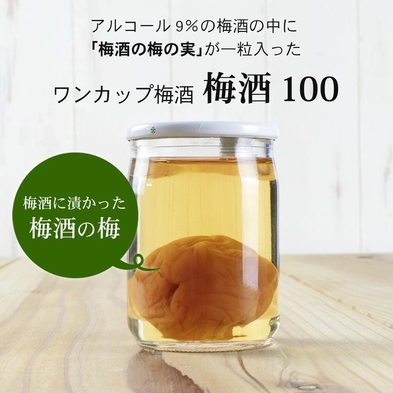 【ふるさと納税】ワンカップ 梅酒100ml（梅酒90ml、梅実10ml） ×24本 | お酒 さけ 人気 おすすめ 送料無料 ギフト