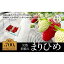 【ふるさと納税】特大まりひめイチゴ 朝摘 6個～11個入×2パック【2025年1月中旬頃より発送】【先行予約】【KT3】 | 苺 いちご フルーツ 果物 くだもの 食品 人気 おすすめ 送料無料
