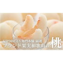 和歌山の桃 秀品 約3.8～4kg(サイズ・品種おまかせ)