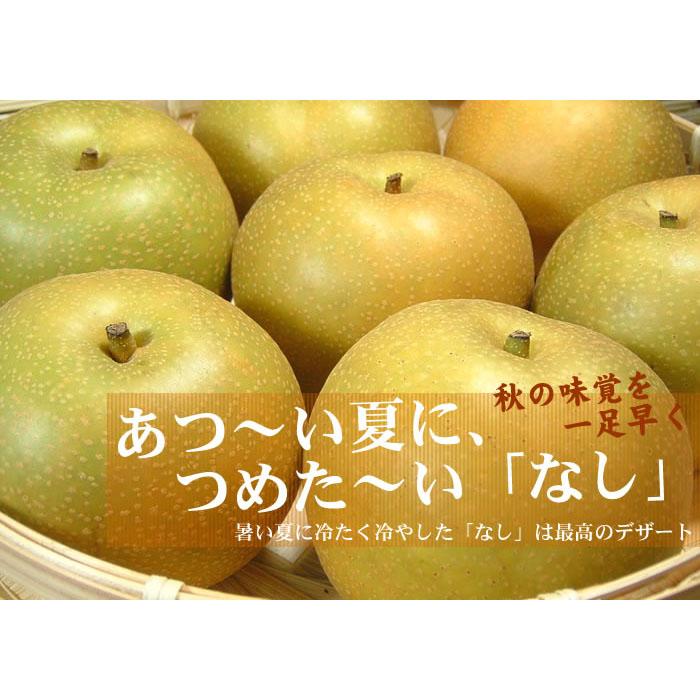 梨(なし)幸水品種 約4kg 和歌山県産 (果実サイズおまかせ) 産地直送 なし 果物 フルーツ 紀伊国屋文左衛門本舗[TC2] | 梨 なし フルーツ 果物 くだもの 食品 人気 おすすめ 送料無料