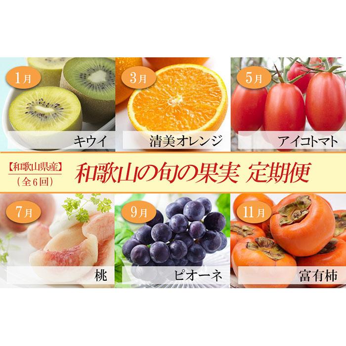 【ふるさと納税】和歌山の旬の果実を 奇数月にお届け全6回定期